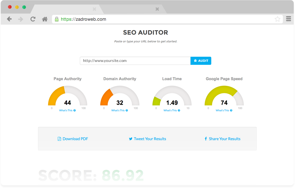 Zadro Web Auditor Results